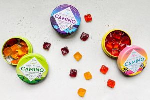 Three open tins of Kiva Camino cannabis-infused gummies in blueberry, sparkling pear, and watermelon lemonade flavors
